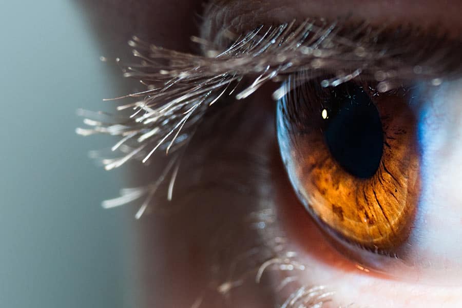 Occupational Therapy for Low Vision  