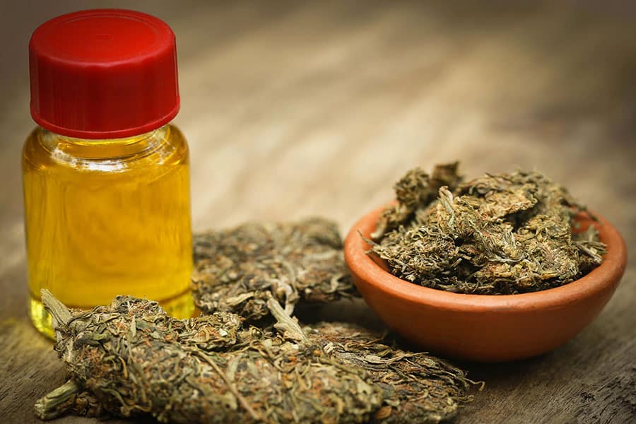 The Basic Pharmacology of Major Cannabinoids