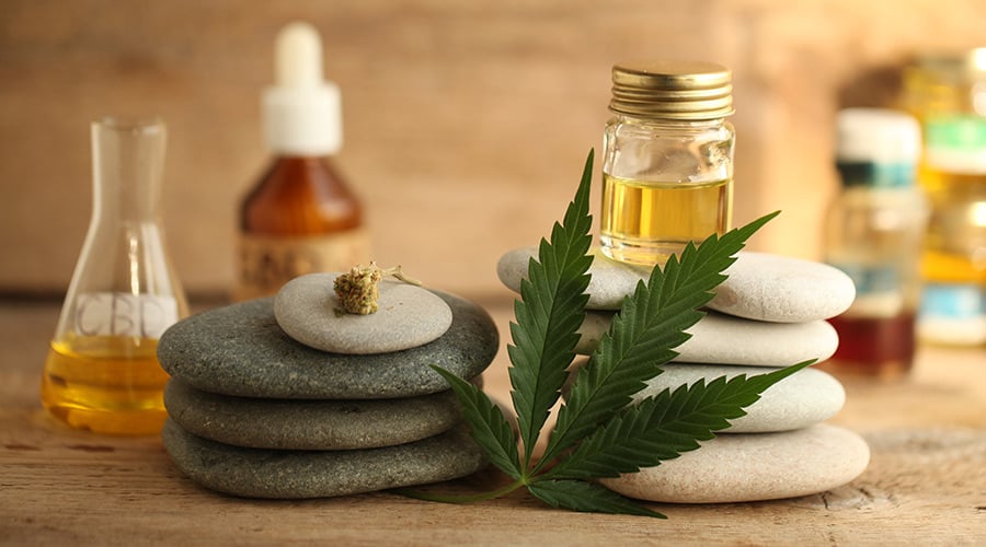 How CBD Affects the Endocannabinoid System