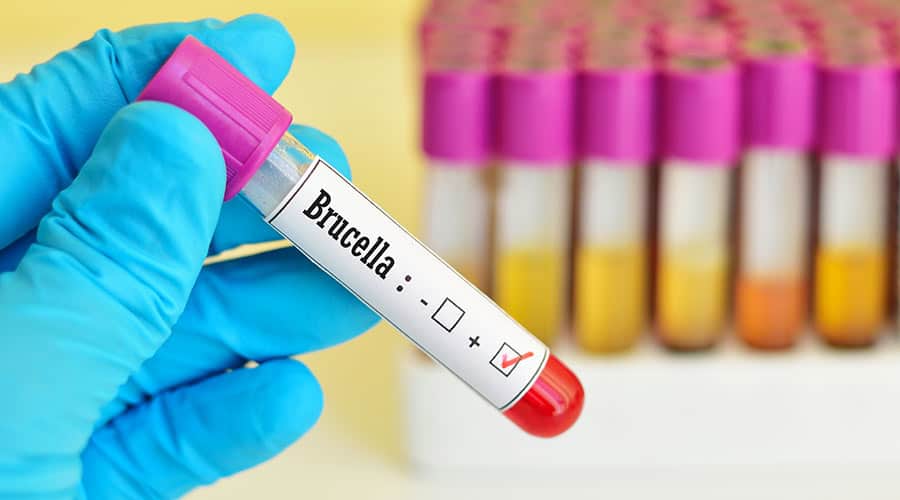 CDC Issues Food Safety Alert for Drug-Resistant Bacteria