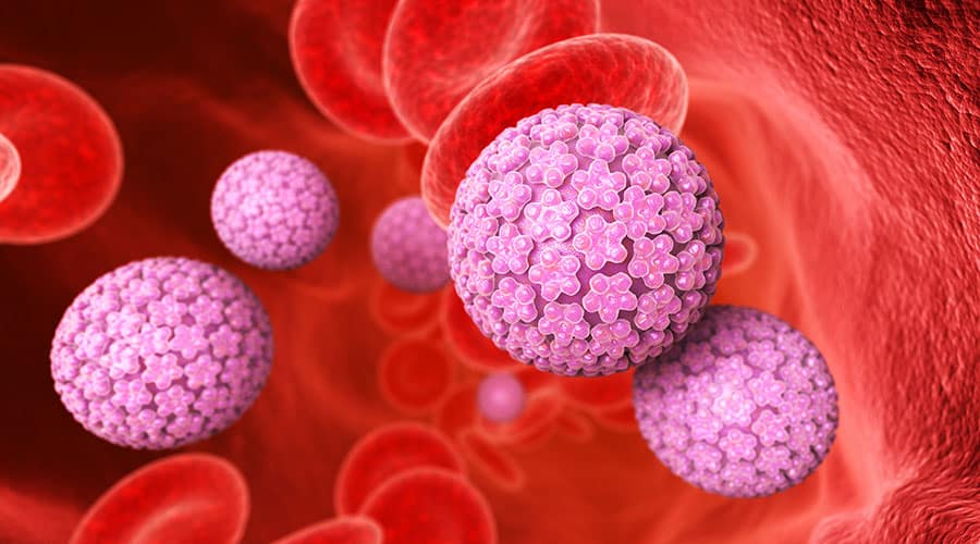 Infectious Disease Roundup