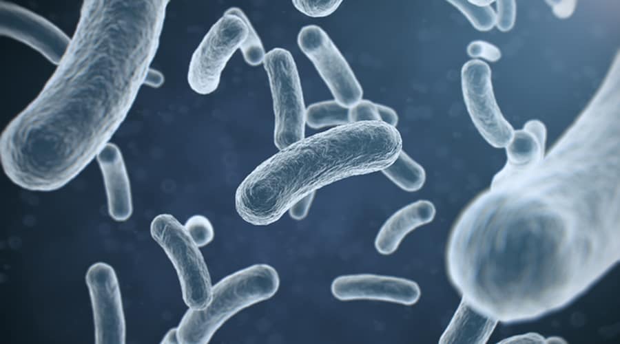 Infectious Diseases A to Z – Infectious Mononucleosis (mono)