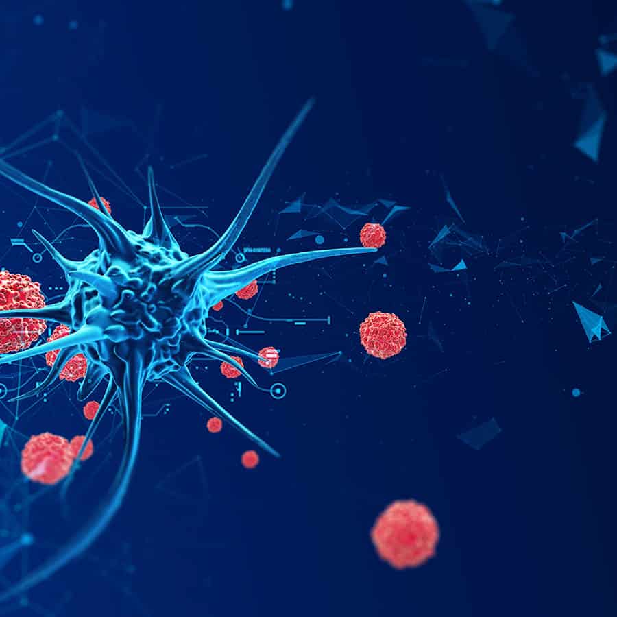 Infectious Diseases A to Z – Relapsing Fever