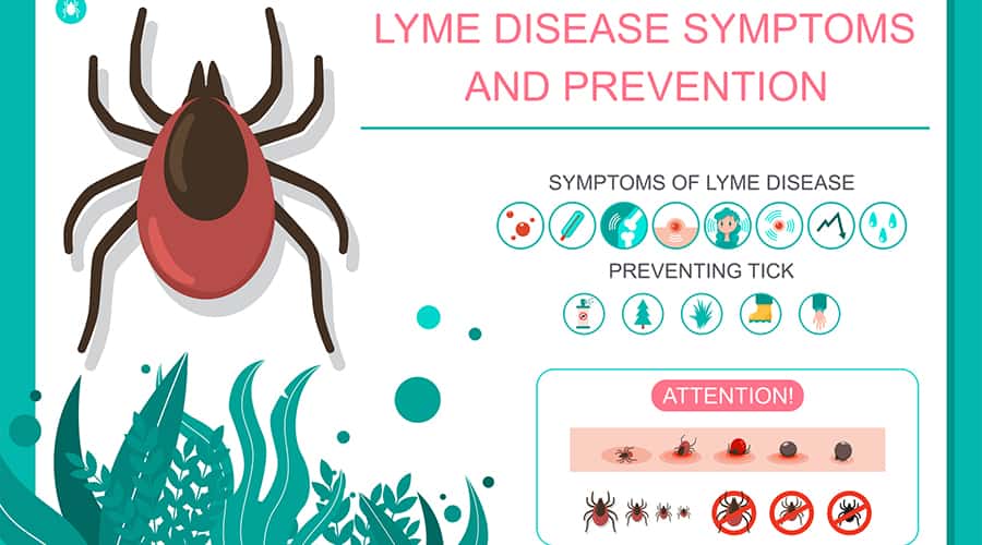 Infectious Diseases A to Z – Lyme Disease