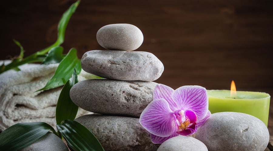 2019 Massage Therapy Salary Survey