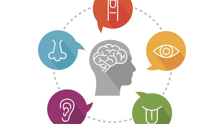 Internal Senses: Understanding the sensory system beyond the basics