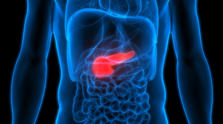 Purdue Researchers ‘Turn Back The Clock’ to Treat Pancreatic Cancer