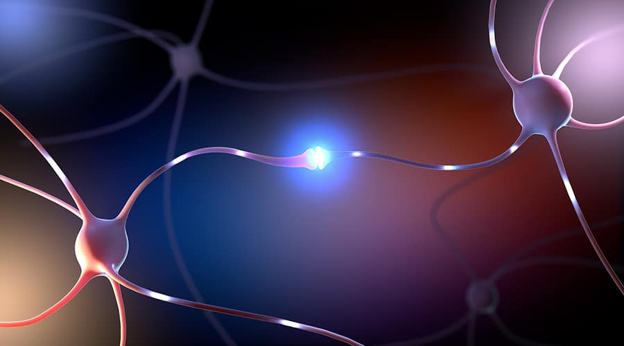 Deep-Brain Stimulation: Why Does It Help Some and Harm Others?