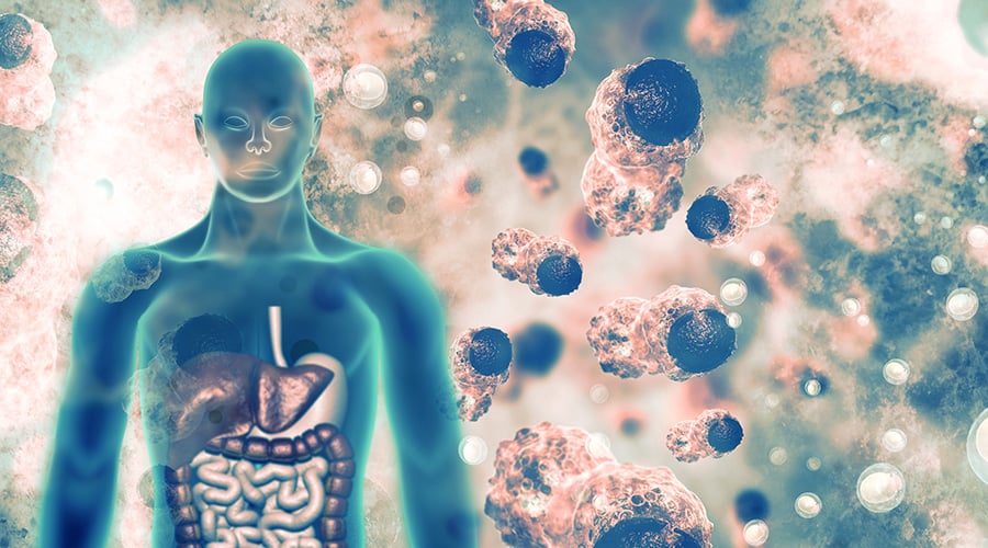 Environmental Impacts on Cancer Today