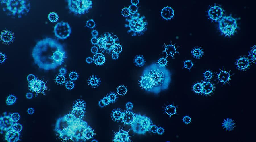 Antibody Blood Test Can Determine Responses in People Who Have Had COVID-19