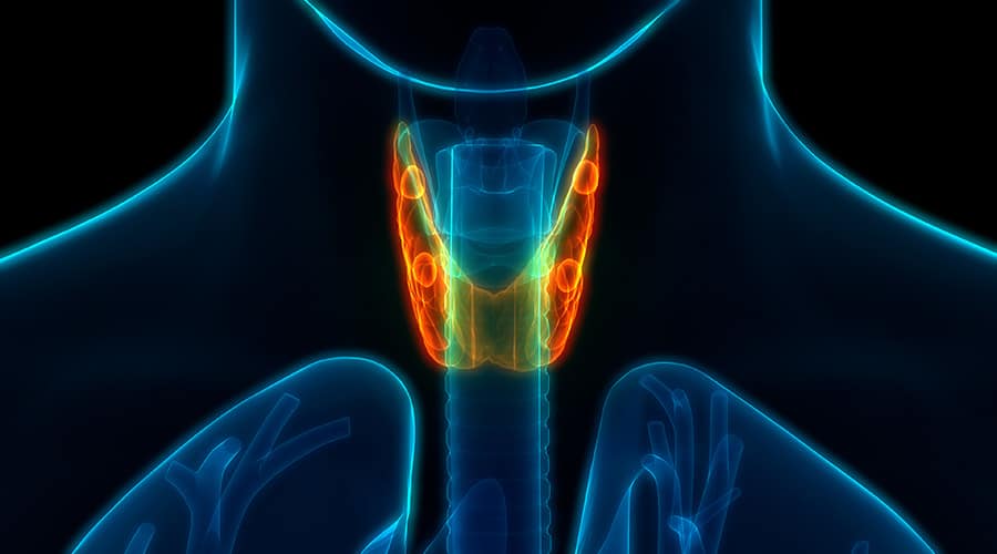 Healthcare’s Common Myths: Thyroid Disease