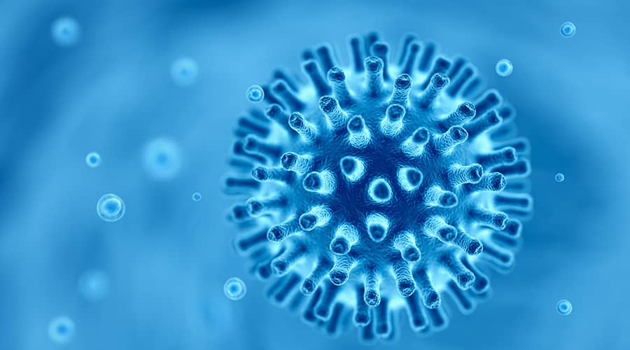 Coronavirus Update – Sept. 23, 2020