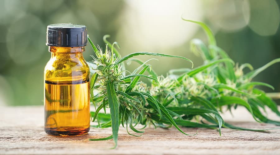 Cannabinoids Show Adverse Effects for COPD