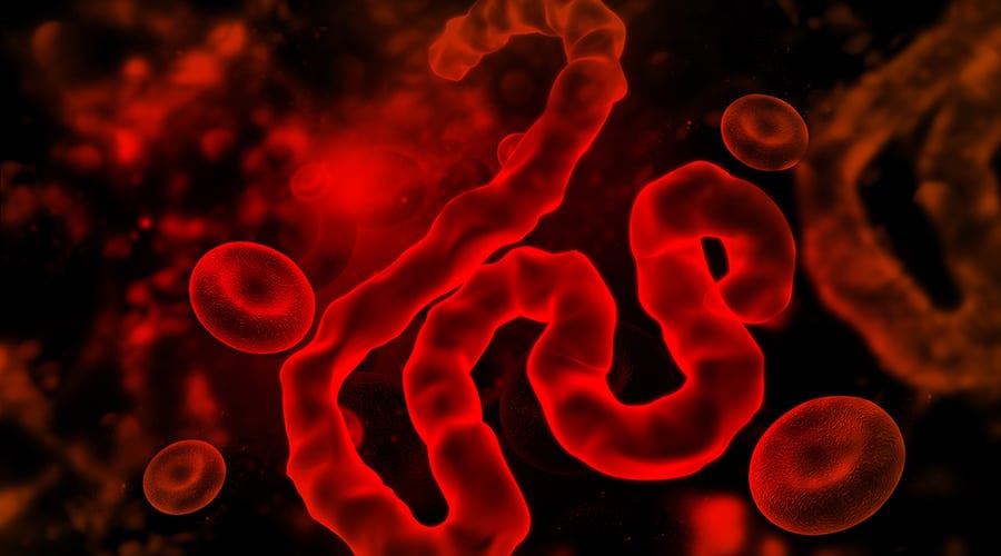 Inmazeb: First FDA-Approved Treatment for Ebola