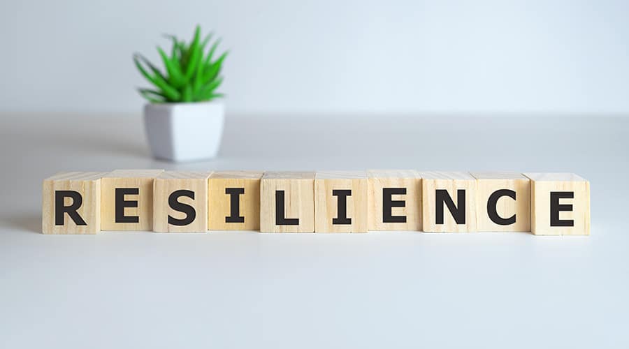 Resilience and Healthy Aging