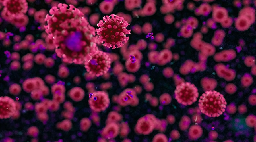 Coronavirus Update – Oct. 5, 2020
