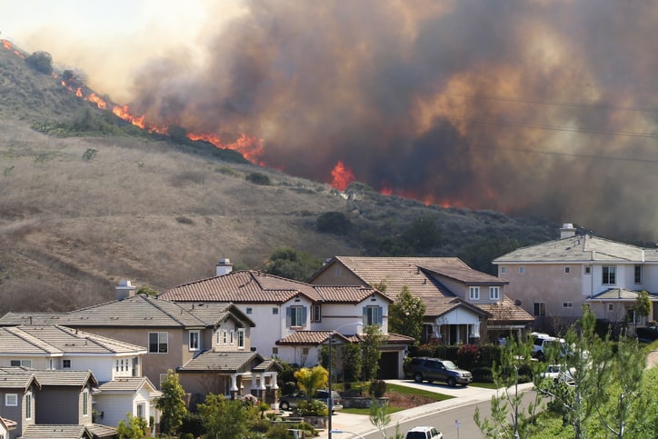 The Health Effects of Wildfire Smoke: A Public Health Crisis