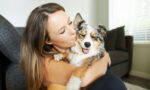 Heartworm Disease: Latest Updates Vets Should Know