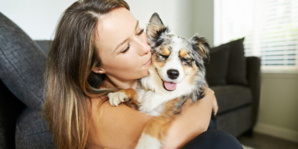 Heartworm Disease: Latest Updates Vets Should Know